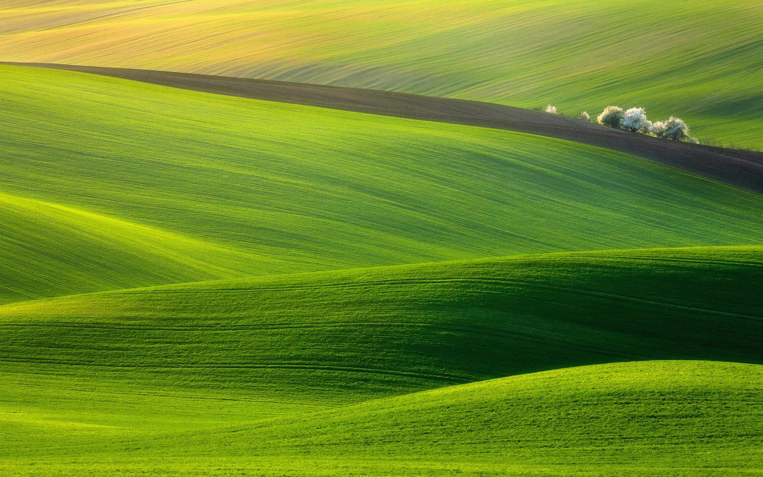 green environment consultants home